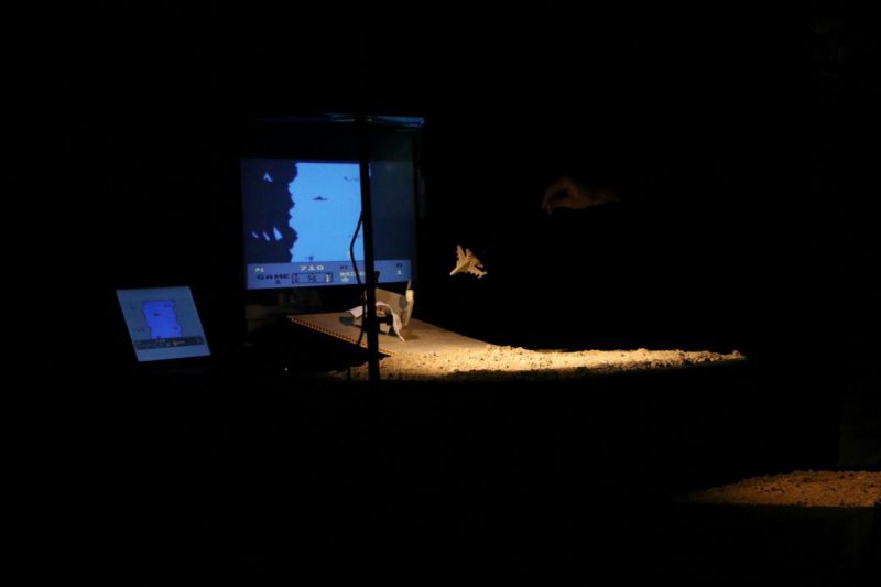 photo_2017-02-17_22-12-45