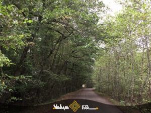 shafaqna-masjed-1-1-444x333