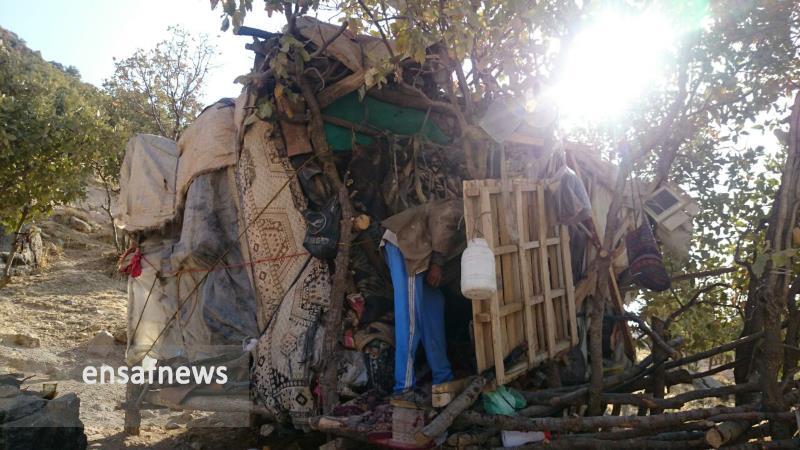 عکس | آلاچیقی بالاتر از میدان ارغوان ایلام