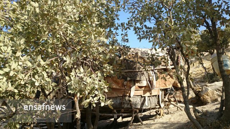 عکس | آلاچیقی بالاتر از میدان ارغوان ایلام