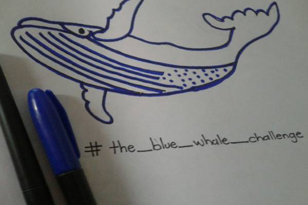چالش نهنگ آبی