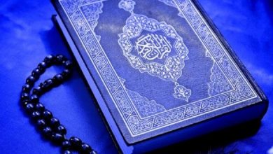 استهزاء مقدّسات در قرآن 