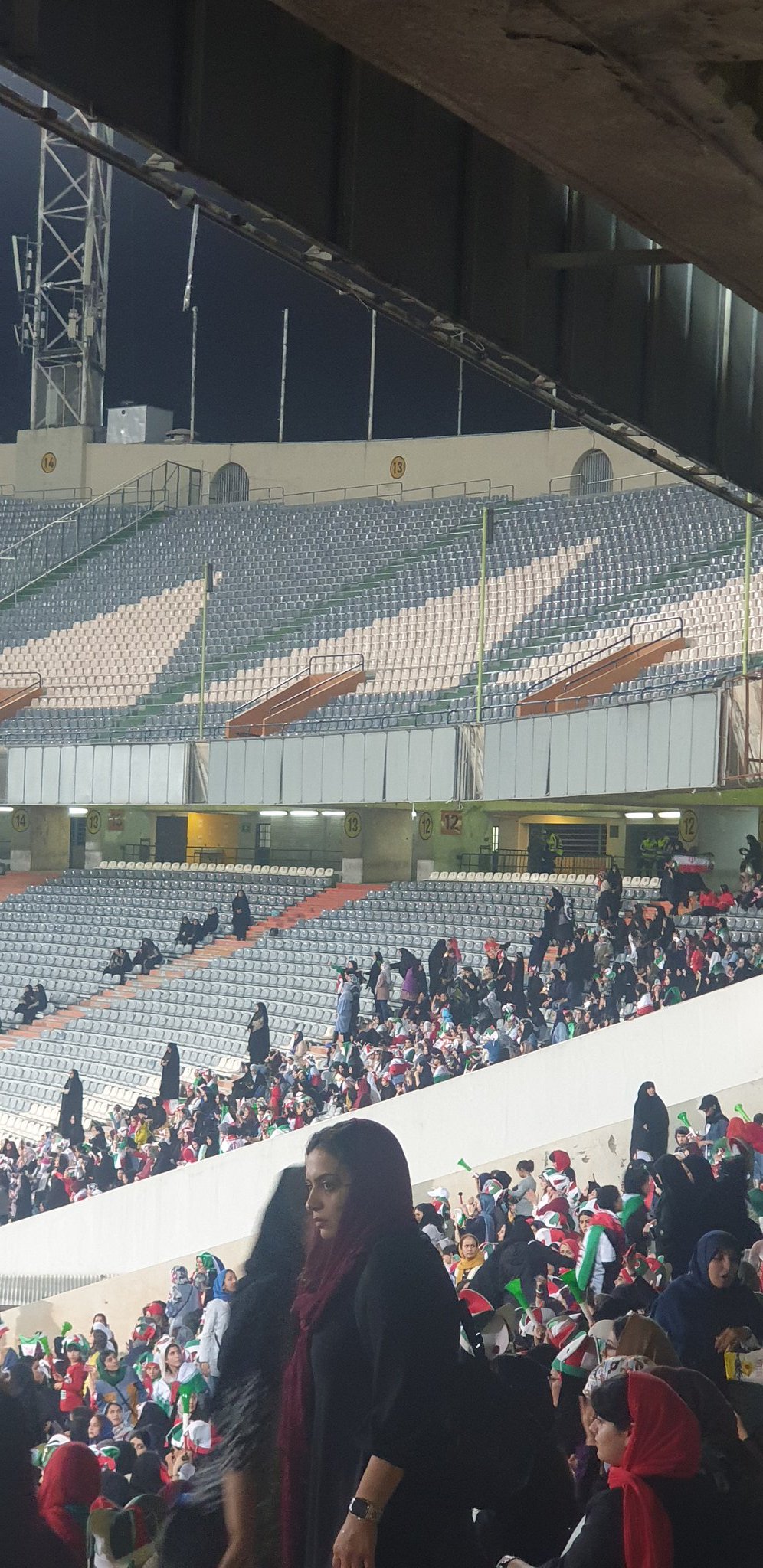 روایتی پر جزییات از حضور زنان در ورزشگاه [+تصاویر]