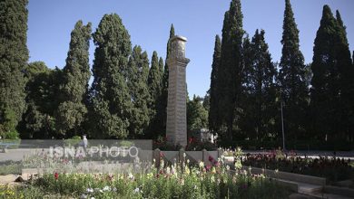 ماجرای احیای باغ ملی شیراز | باز هم پای پدرخوانده‌ها در میان است!