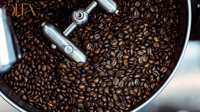 معرفی انواع قهوه