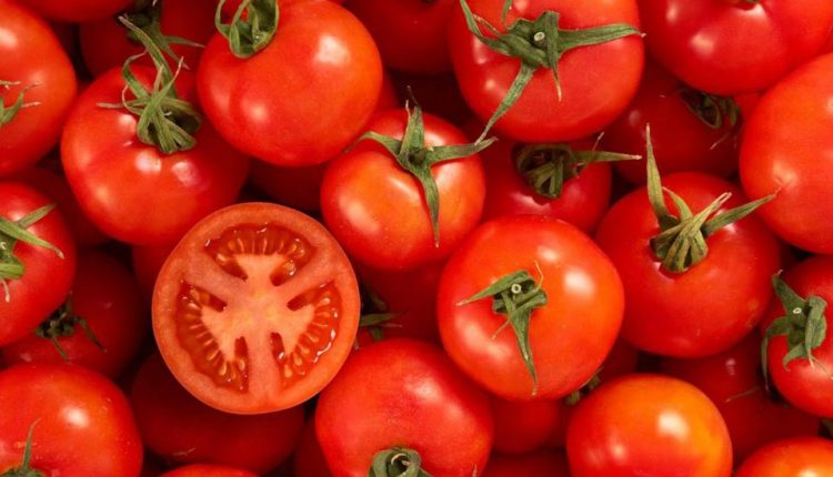 سرنوشت 5 هزار تن گوجه 3400 تومانی در خراسان رضوی